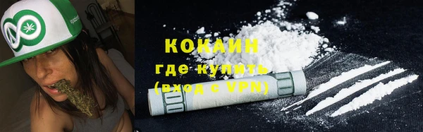гашик Сясьстрой