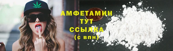 МДПВ Тайга