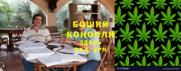 гашик Сясьстрой