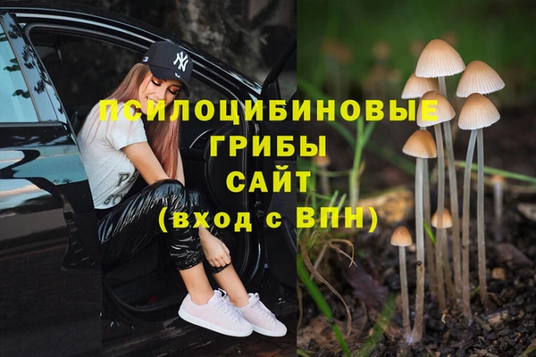 каннабис Тавда