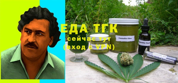 гашик Сясьстрой