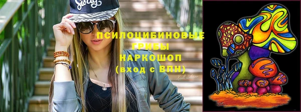 МДПВ Тайга