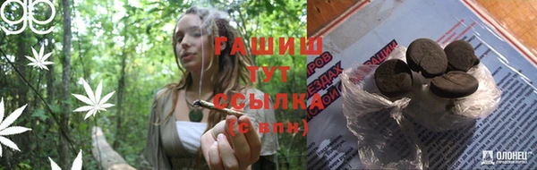 гашик Сясьстрой