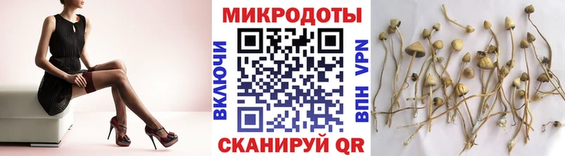Псилоцибиновые грибы мухоморы  Чёрмоз 